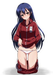 Rule 34 | 10s, 1girl, blue hair, blush, clothes lift, clothes pull, gym uniform, inue shinsuke, jacket, kneeling, lifting own clothes, long hair, love live!, love live! school idol festival, love live! school idol project, panties, pants, pants pull, shirt lift, simple background, solo, sonoda umi, track jacket, track pants, track suit, underwear, very long hair, white background, white panties, yellow eyes, zipper