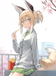 Rule 34 | 1girl, animal ears, blonde hair, blue eyes, branch, building, cardigan, collared shirt, commentary request, flower, food, fox ears, fox girl, fox tail, french fries, green necktie, green skirt, grey cardigan, hair between eyes, highres, holding, holding food, necktie, original, parted lips, petals, pink flower, plaid, plaid skirt, poco (asahi age), ponytail, railing, shirt, sidelocks, sitting, skirt, solo, tail, white shirt