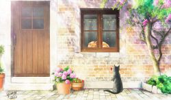 Rule 34 | black cat, brick wall, cat, commentary, dated, door, eye contact, flower, kaminaga mutsumi, looking at another, no humans, orange cat, original, outdoors, photoshop (medium), plant, potted plant, scenery, signature, tree, window