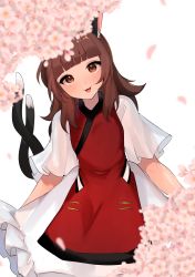 Rule 34 | 1girl, :3, animal ear fluff, animal ears, blunt bangs, blush, branch, brown eyes, brown hair, cat ears, cat tail, chen, cherry blossoms, chinese clothes, dress, eyelashes, falling petals, foul detective satori, frilled dress, frills, head tilt, highres, looking at viewer, majime joe, medium hair, multiple tails, nekomata, open mouth, petals, sidelocks, simple background, solo, standing, tail, tongue, touhou, two tails, white background, white dress