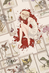 Rule 34 | 1girl, bare legs, barefoot, blonde hair, closed eyes, closed mouth, commentary request, dress, dried flower, full body, highres, knees up, lycoris recoil, lying, nishikigi chisato, on side, petals, profile, scenery, short hair, sleeveless, sleeveless dress, solo, spaghetti strap, strap slip, sundress, toes, white dress, yu yin