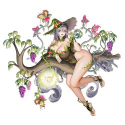 Rule 34 | 1girl, :p, @ @, absurdly long hair, ass, black leotard, bodypaint, branch, breasts, broom, broom riding, carnivorous plant, circe (last origin), cleavage, collar, collarbone, covered navel, detached collar, drone, feet, flower, flower bikini, food, fruit, full body, game cg, glowing, grapes, green collar, green eyes, green footwear, green nails, green wristband, grey hair, groin, hair between eyes, hat, highleg, highleg leotard, highres, huge breasts, last origin, leaf, leotard, long hair, looking at viewer, machinery, nail polish, official alternate costume, official art, open mouth, plant, potion, purple flower, red flower, solo, straddling, tachi-e, taesi, thighs, toeless footwear, tongue, tongue out, transparent background, very long hair, vines, witch, witch hat, wristband