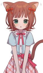 Rule 34 | 1girl, :o, amami haruka, animal ears, blue shirt, bow, brown hair, buttons, cat ears, cat tail, checkered clothes, checkered skirt, commentary, green eyes, hair ribbon, idolmaster, idolmaster (classic), light blush, looking at viewer, medium hair, pink bow, pink ribbon, pink skirt, red ribbon, ribbon, roieoekaki, shirt, short sleeves, sidelocks, skirt, solo, tail, white background, wing collar