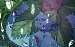 Rule 34 | absurdres, animal focus, bright pupils, bulbasaur, claws, creatures (company), evolutionary line, fangs, game freak, gen 1 pokemon, highres, looking at another, nintendo, no humans, open mouth, outdoors, plant, pokemon, pokemon (creature), rain, red eyes, riding, ripples, taking shelter, tamago sando, venusaur, water drop, white pupils