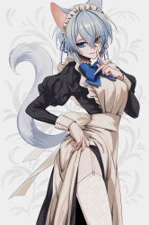 Rule 34 | 1girl, absurdres, animal ears, apron, black dress, blue bow, blue eyes, blue hair, bow, breasts, cat ears, cat tail, dress, finger to mouth, frills, garter belt, hair between eyes, heterochromia, highres, itou (very ito), long hair, long sleeves, maid, maid apron, maid headdress, medium breasts, original, puffy sleeves, short hair, sidelocks, silver hair, simple background, skirt, solo, tail, white background, white garter belt, white skirt, yellow eyes