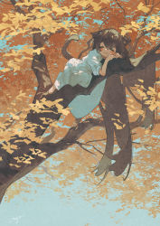 Rule 34 | 1girl, animal ears, autumn leaves, barefoot, blush, branch, cat ears, cat tail, child, day, dress, closed eyes, female focus, highres, in tree, leaves, long hair, lying, original, outdoors, potg (piotegu), signature, sleeping, smile, solo, tail, tree, very long hair, white dress