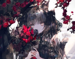 Rule 34 | 1girl, animal ear fluff, animal ears, black bow, black dress, black flower, black hair, black rose, bouquet, bow, brown eyes, brown flower, brown rose, bug, butterfly, cat ears, cat girl, cat tail, commentary request, dress, flower, hair bow, highres, holding, holding bouquet, insect, long hair, looking at viewer, onineko, original, parted lips, puffy short sleeves, puffy sleeves, rose, short sleeves, smile, solo, tail, tail raised, upper body, white flower