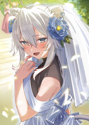 Rule 34 | 1girl, ahoge, animal ears, bridal veil, bride, commentary request, dress, ear piercing, fang, flower, grey eyes, grey hair, hair between eyes, hair flower, hair ornament, hololive, jewelry, lion ears, lion girl, lion tail, long hair, looking at viewer, open mouth, piercing, ring, shishiro botan, solo, tail, veil, virtual youtuber, wedding band, wedding dress, yomosaka