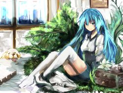 Rule 34 | 10s, 1girl, animal, bad id, bad pixiv id, blue eyes, blue hair, box, building, cityscape, crossover, dog, drawer, flower, highres, indoors, kantai collection, lifebuoy, long hair, matching hair/eyes, original, plant, potted plant, rensouhou-chan, silhouette, sitting, sketch, skull, smile, solo, swim ring, thighhighs, very long hair, white thighhighs, window, yoshizawa tsubaki, zettai ryouiki