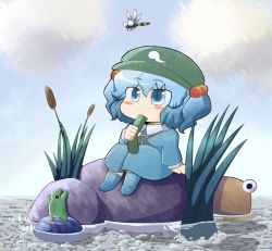 Rule 34 | 1girl, bad id, bad pixiv id, blue eyes, blue hair, blush, bug, chibi, cloud, cucumber, day, dragonfly, eating, female focus, frog, hair bobbles, hair ornament, hat, insect, kawashiro nitori, key, looking up, matching hair/eyes, nura (oaaaaaa), pyonta, sitting, slit pupils, solo, touhou, twintails, two side up, water