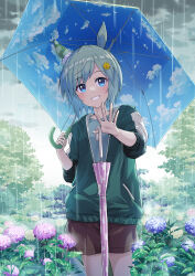 Rule 34 | 1girl, animal ears, blue eyes, blue hair, blush, brown shorts, commentary request, cowboy shot, ear covers, flower, grin, hair ornament, hairclip, highres, holding, holding umbrella, horse ears, horse girl, hydrangea, long sleeves, looking at viewer, mixed-language commentary, murasaki himuro, outdoors, partially unzipped, rain, seiun sky (umamusume), short hair, shorts, single ear cover, sleeves rolled up, smile, solo, umamusume, umbrella, waving