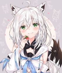 Rule 34 | 1girl, animal ears, braid, collarbone, commentary request, detached sleeves, food, fox ears, fox tail, fruit, green eyes, hair between eyes, hair ribbon, happy birthday, highres, hololive, long hair, looking at viewer, nana kagura, portrait, ribbon, shirakami fubuki, shirakami fubuki (1st costume), side braid, silver hair, smile, solo, strawberry, tail, virtual youtuber