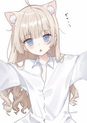 Rule 34 | 1girl, :o, ahoge, animal ear fluff, animal ears, blonde hair, blue eyes, blunt bangs, blush, cat ears, collared shirt, drill hair, extra ears, flat chest, hands up, highres, long hair, long sleeves, looking at viewer, luna (luna610), open mouth, original, shirt, simple background, solo, twitter username, upper body, wavy hair, white background, white shirt