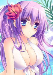 Rule 34 | 1girl, :o, absurdres, bad id, bad pixiv id, bikini, blue eyes, blush, breasts, cleavage, close-up, flower, front-tie top, hair flower, hair ornament, highres, large breasts, long hair, original, purple hair, ringonotane, shiny skin, solo, swimsuit