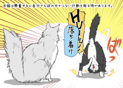 Rule 34 | cat, comic, fangs, munmu-san, original, simple background, sitting, speech bubble, translation request, unsinkable sam, yellow background