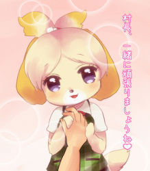 Rule 34 | animal crossing, artist request, isabelle (animal crossing), nintendo, swimsuit, tagme, text focus, translation request