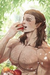 Rule 34 | 1boy, apple, baldur&#039;s gate, baldur&#039;s gate 3, bara, brown hair, dungeons &amp; dragons, eating, elf, food, food on body, food on pectorals, forest, fruit, hairy, halsin, highres, holding, holding food, holding fruit, large pectorals, male focus, mature male, medium hair, muscular, muscular male, nature, nipples, nude, pectorals, pointy ears, prika fan, red apple, solo, thick arm hair, thick chest hair, thick eyebrows, upper body, water drop
