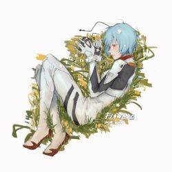 Rule 34 | 1girl, ayanami rei, blue hair, blush, bodysuit, bug, butterfly, flower, grass, highres, insect, j74403145, neon genesis evangelion, on grass, pilot suit, plugsuit, red eyes, short hair, solo, white bodysuit, white flower