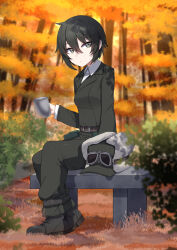 Rule 34 | 1girl, autumn leaves, belt, black hair, boots, breasts, collared shirt, commission, cup, forest, fur hat, goggles, goggles on headwear, green eyes, green jacket, green pants, hair between eyes, hat, highres, holding, holding cup, jacket, kino (kino no tabi), kino no tabi, nature, pants, pouch, shirt, short hair, sitting, solo, unworn headwear, valefal coneri, white shirt