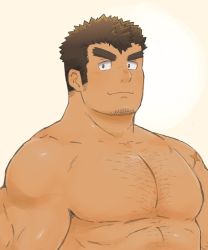 Rule 34 | 1boy, abs, bara, blush, body hair, brown hair, chest hair, facial hair, goatee, highres, large pectorals, long sideburns, male focus, manly, muscular, nipples, pectorals, sideburns, simple background, solo, stubble, takabushi kengo, thick eyebrows, tokyo houkago summoners, topless male, upper body, yanutorie