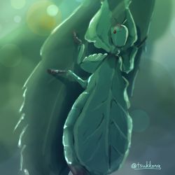 Rule 34 | animal focus, artist name, blurry, blurry background, bokeh, depth of field, full body, green background, green theme, highres, leaf, leaf insect, no humans, original, outdoors, red eyes, signature, sketch, tsukkon, twitter username