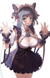 Rule 34 | 1girl, :3, absurdres, animal ears, azur lane, bad id, bad pixiv id, black dress, black hair, blue eyes, breasts, cat ears, cheshire (azur lane), cleavage, cowboy shot, detached sleeves, dress, fake animal ears, frilled dress, frills, hands up, headdress, highres, large breasts, looking at viewer, multicolored hair, nail polish, neck ribbon, niji (rudduf232), ribbon, short hair, simple background, smile, solo, standing, streaked hair, white background, wing collar, wrist cuffs