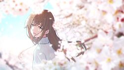 Rule 34 | 1girl, absurdres, blue sky, brown eyes, brown hair, cherry blossoms, crying, crying with eyes open, day, highres, long hair, oka kojiro, open mouth, original, outdoors, sky, solo, sweater, tears, turtleneck, upper body, white sweater