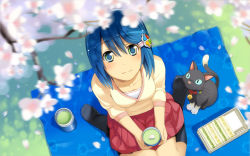Rule 34 | 1girl, 7-tan, bento, blanket, blue eyes, blue hair, blurry, blush, cat, cherry blossoms, cup, depth of field, dress, food, from above, hair ornament, hairclip, hanami, kneehighs, looking up, madobe nanami, matching hair/eyes, multicolored eyes, official art, official wallpaper, os-tan, petals, short hair, sitting, smile, socks, solo, tea, wakaba sprout, wallpaper, wariza, windows 7