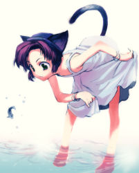 Rule 34 | 1girl, animal ears, barefoot, bent over, bracelet, cat ears, cat girl, cat tail, clothes lift, dress, dress lift, fish, green eyes, jewelry, original, purple hair, solo, tail, wading, water
