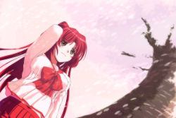 Rule 34 | 1girl, 2sox[black], blush, bow, cherry blossoms, dutch angle, from below, kousaka tamaki, long hair, outdoors, pleated skirt, red hair, ribbon, school uniform, skirt, solo, standing, to heart (series), to heart 2, tree, twintails
