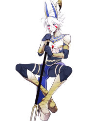 Rule 34 | 1boy, alternate costume, animal ears, bishounen, blue eyes, chest jewel, cosplay, egyptian clothes, fate/apocrypha, fate/grand order, fate (series), karna (fate), makeup, male focus, nitocris (fate), nitocris (fate) (cosplay), pale skin, platform footwear, platform heels, solo, staff, white hair, zuwai kani