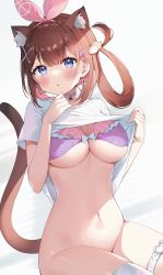 Rule 34 | 1girl, animal ear fluff, animal ears, ayamy, ayamy (vtuber), blue eyes, bottomless, bra, breasts, brown hair, cat ears, cat girl, cat tail, choker, cleavage, clothes lift, earrings, extra ears, frilled bra, frills, hair ornament, hair ribbon, hair rings, hairclip, hand up, highres, indie virtual youtuber, jewelry, large breasts, lifted by self, long hair, looking at viewer, navel, parted lips, purple bra, purple choker, ribbon, shirt, shirt lift, short sleeves, single thighhigh, solo, stomach, tail, tail raised, thigh strap, thighhighs, thighs, underboob, underwear, virtual youtuber, white shirt, white thighhighs, x hair ornament