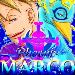 Rule 34 | 1boy, bird, blonde hair, character name, jolly roger, male focus, marco (one piece), one piece, phoenix, solo