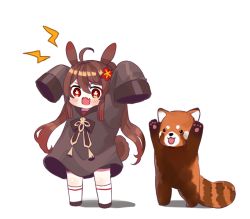 Rule 34 | 1girl, :d, absurdly long hair, aged down, ahoge, animal ears, arms up, black footwear, black shirt, blush, brown hair, chibi, chinese clothes, commentary request, full body, genshin impact, hair between eyes, hu tao (genshin impact), kemonomimi mode, kneehighs, long hair, long sleeves, looking at viewer, miyako draw, open mouth, oversized clothes, oversized shirt, rabbit ears, rabbit tail, red eyes, red panda, shirt, sidelocks, simple background, sleeves past wrists, smile, socks, symbol-shaped pupils, tail, twintails, very long hair, white background, white socks