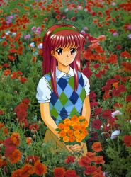 Rule 34 | 1990s (style), 1girl, argyle, argyle clothes, argyle sweater vest, brown eyes, brown hair, field, flower, flower field, fujisaki shiori, hairband, holding, kokura masashi, konami, looking at viewer, official art, photo background, retro artstyle, scan, shirt, short sleeves, smile, solo, standing, sweater vest, tokimeki memorial, tokimeki memorial 1, white shirt