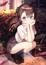 Rule 34 | 1girl, absurdres, bag, black socks, blurry, blush, braid, breasts, brown hair, charm (object), depth of field, dress shirt, elbow rest, elbows on knees, evening, flower, hair ornament, hair scrunchie, hands on own cheeks, hands on own face, hands up, highres, kneehighs, leaning forward, legs together, lens flare, loafers, long hair, looking at viewer, neck ribbon, original, outdoors, panda, parted bangs, petals, plaid, plaid skirt, pleated skirt, ponytail, pout, ribbed legwear, ribbon, school bag, school uniform, scrunchie, shade, shiny skin, shirt, shoes, short sleeves, skirt, socks, solo, squatting, sunlight, tiptoes, wanderlucia, wind, x hair ornament