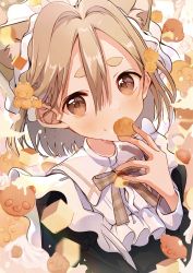 Rule 34 | 1girl, animal ear fluff, animal ears, black dress, blush, bow, bowtie, brown bow, brown bowtie, brown eyes, cat ears, commentary request, cookie, dress, eating, food, food-themed background, food in mouth, frilled shirt collar, frills, hand up, highres, icing, light brown hair, long sleeves, looking at viewer, maid, maid headdress, original, peach punch, plaid, plaid bow, plaid bowtie, short eyebrows, short hair, solo, thick eyebrows, upper body