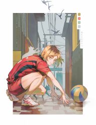 Rule 34 | 1boy, arm support, ball, bird, blonde hair, border, cat, full body, haikyuu!!, highres, kozume kenma, looking at viewer, male focus, outdoors, shoes, short hair, sneakers, sportswear, squatting, twitter username, volleyball uniform, wsr cao rong rong