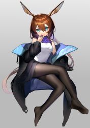 Rule 34 | 1girl, absurdres, amiya (arknights), animal ear fluff, animal ears, arknights, ascot, bare shoulders, black coat, black pantyhose, black skirt, blue eyes, breasts, brown hair, closed mouth, coat, cool est, crossed legs, feet, full body, grey background, hair between eyes, highres, invisible chair, legs, long hair, long sleeves, looking at viewer, medium breasts, miniskirt, no shoes, off shoulder, open clothes, open coat, pantyhose, purple ascot, rabbit ears, simple background, sitting, skirt, soles, solo, very long hair