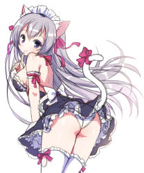 Rule 34 | 1girl, animal ears, arm garter, ass, bare shoulders, bow, breasts, cat ears, cat girl, cat tail, female focus, hair ribbon, large breasts, long hair, looking at viewer, maid, maid headdress, mauve, original, panties, purple eyes, ribbon, silver hair, simple background, sketch, smile, solo, tail, tail bow, tail ornament, tail ribbon, thighhighs, underwear, white background, white panties, white thighhighs