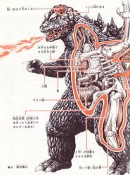 Rule 34 | anatomy, artist request, diagram, energy, fire, giant, giant monster, godzilla, japanese text, lowres, monster, organs, science, text focus, toho, tokusatsu, translation request, x-ray