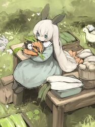 Rule 34 | 1girl, animal, animal ears, basket, bird, blue eyes, bow, bucket, carrot, closed mouth, commentary request, cucumber, daikon, dress, duck, grass, hair between eyes, highres, holding, holding basket, lettuce, long hair, looking at animal, on table, orange bow, original, outdoors, potato, rabbit, rabbit ears, rabbit girl, radish, shirokujira, sitting, solo, table, white hair, wooden bucket, wooden table