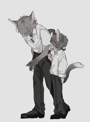 Rule 34 | 2boys, 50 ior, animal ears, arm behind back, black pants, blush, cat boy, cat ears, cat tail, collared shirt, covered eyes, dress shirt, eating, food, fox boy, fox ears, fox tail, from side, full body, furry, furry male, grey hair, hair over eyes, hand up, height difference, highres, leaning forward, long sleeves, low ponytail, male focus, motion lines, multiple boys, nose blush, original, pants, ponytail, popsicle, school uniform, shirt, shirt tucked in, short hair, short sleeves, simple background, sleeves rolled up, smile, snout, tail, tongue, tongue out, undershirt, walking, white background, white shirt, yellow eyes