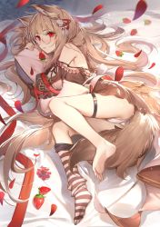 Rule 34 | 1girl, animal ears, armpit crease, ass, bare shoulders, barefoot, bed sheet, bow, brown dress, brown hair, detached sleeves, dog girl, dress, fox ears, fox girl, fox tail, frills, glasses, hair bow, hair ornament, highres, hugging object, kaerunoko, long hair, long sleeves, looking at viewer, lying, mole, mole under eye, on side, original, panties, parted lips, petals, pillow, pillow hug, red eyes, round eyewear, short dress, socks, solo, striped clothes, striped socks, tail, thigh strap, thighs, underwear, very long hair, white panties