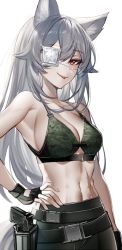 Rule 34 | 1girl, abs, animal ear fluff, animal ears, armpits, bad id, bad twitter id, bare shoulders, belt, bikini, bikini top only, black gloves, breasts, cleavage, closed mouth, eyepatch, fingerless gloves, fox ears, gloves, green bikini, grey hair, gun, hand on own hip, handgun, holstered, kawachi rin, long hair, looking at viewer, medium breasts, midriff, navel, original, red eyes, scar, scar on stomach, smile, solo, stomach, swimsuit, tongue, tongue out, upper body, weapon