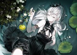 Rule 34 | 1girl, absurdres, apple, bare shoulders, bizet, black dress, braid, breasts, closed eyes, closed mouth, commentary request, cowboy shot, crown, dress, flower, food, fruit, green apple, hand up, highres, huge filesize, long hair, looking at viewer, lying, medium breasts, on back, original, pale skin, petals, sleeveless, sleeveless dress, small breasts, solo, water, white flower