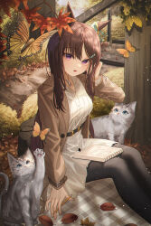 Rule 34 | 1girl, alternate costume, animal ears, autumn, autumn leaves, black pantyhose, bow, brown hair, brown jacket, bug, butterfly, cat, commentary, dress, ear bow, hair ornament, hairclip, highres, holding, holding pencil, horse ears, horse girl, horse tail, insect, jacket, jewelry, long hair, mejiro dober (umamusume), necklace, notebook, on ground, open clothes, open jacket, open mouth, pantyhose, pencil, purple eyes, rang c, sitting, solo, symbol-only commentary, tail, umamusume, white dress