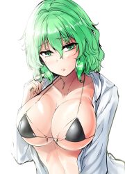 Rule 34 | 1girl, bikini, black bikini, breasts, cleavage, closed mouth, collarbone, commentary request, green eyes, green hair, hair between eyes, halterneck, highres, kazami yuuka, large breasts, long sleeves, looking at viewer, micro bikini, micro bikini top, nail polish, open clothes, open shirt, red nails, shirt, short hair, solo, stomach, swimsuit, touhou, upper body, white shirt, y2