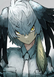 Rule 34 | 1girl, absurdres, adeshi (adeshi0693119), bird girl, bird wings, blonde hair, closed mouth, feathered wings, grey background, grey hair, head wings, highres, kemono friends, long hair, looking at viewer, multicolored hair, necktie, shirt, shoebill (kemono friends), simple background, solo, two-tone hair, upper body, wings, yellow eyes