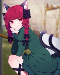 Rule 34 | 1girl, :3, absurdres, animal ears, black bow, blunt bangs, blurry, blurry background, blurry foreground, bow, braid, cat ears, cat tail, depth of field, dress, green dress, hair bow, highres, kaenbyou rin, multiple tails, red eyes, red hair, solo, tail, touhou, two tails, you (noanoamoemoe)
